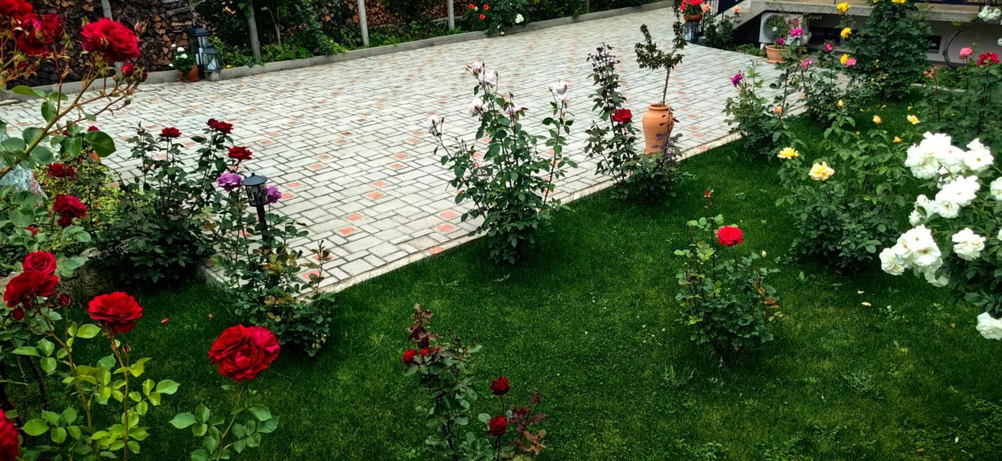 בנסקו Infinity Boutique Apartments מראה חיצוני תמונה