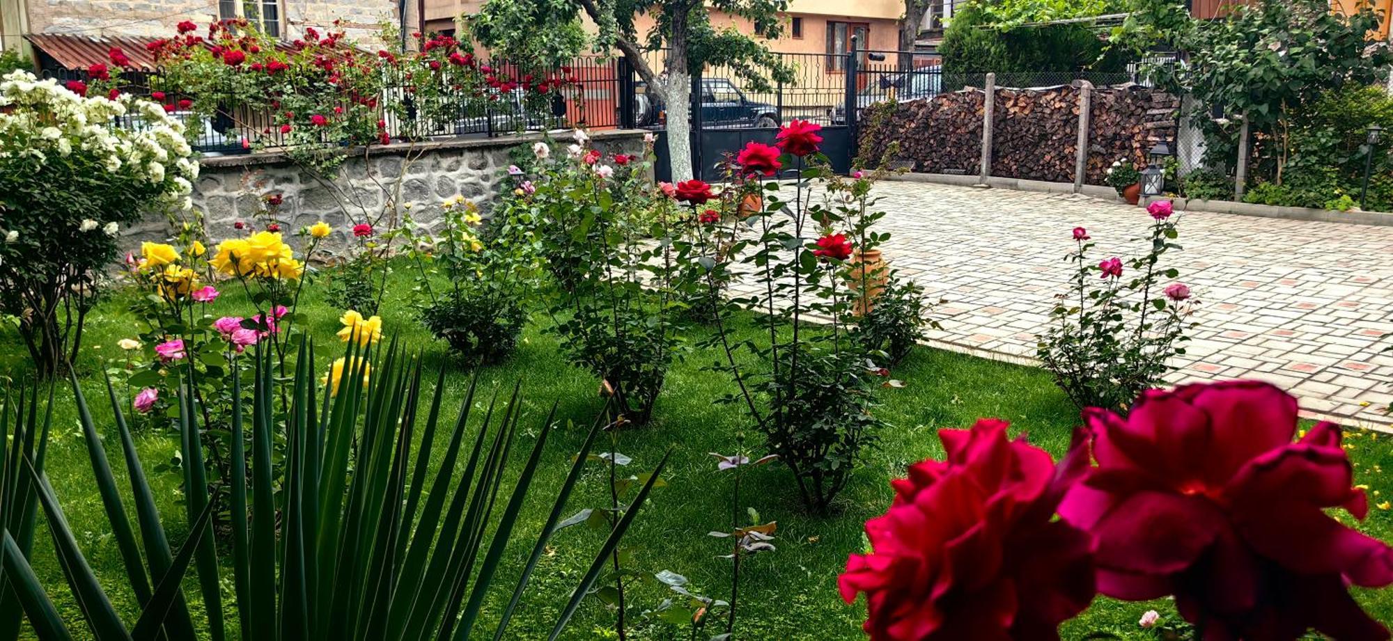 בנסקו Infinity Boutique Apartments מראה חיצוני תמונה